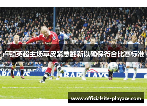 卢顿英超主场草皮紧急翻新以确保符合比赛标准