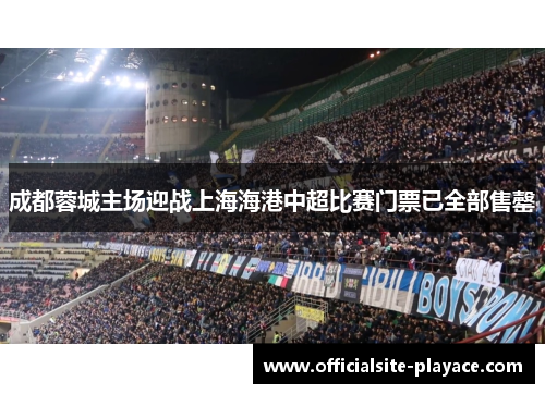 成都蓉城主场迎战上海海港中超比赛门票已全部售罄